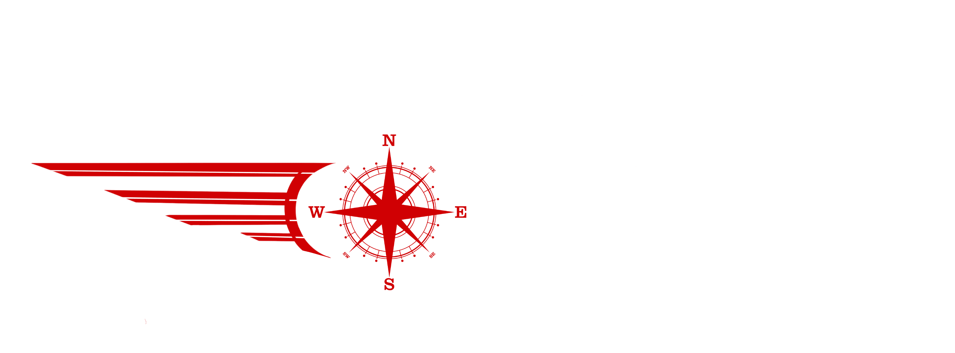 Logo D&apos;Agostino Express chiaro